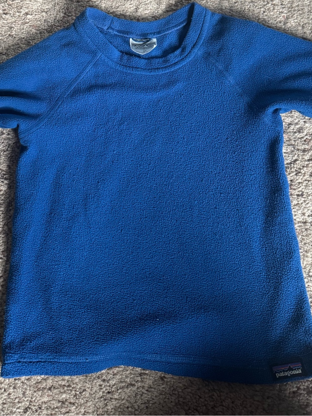 Patagonia Kids Royal Blue Fleece Pullover